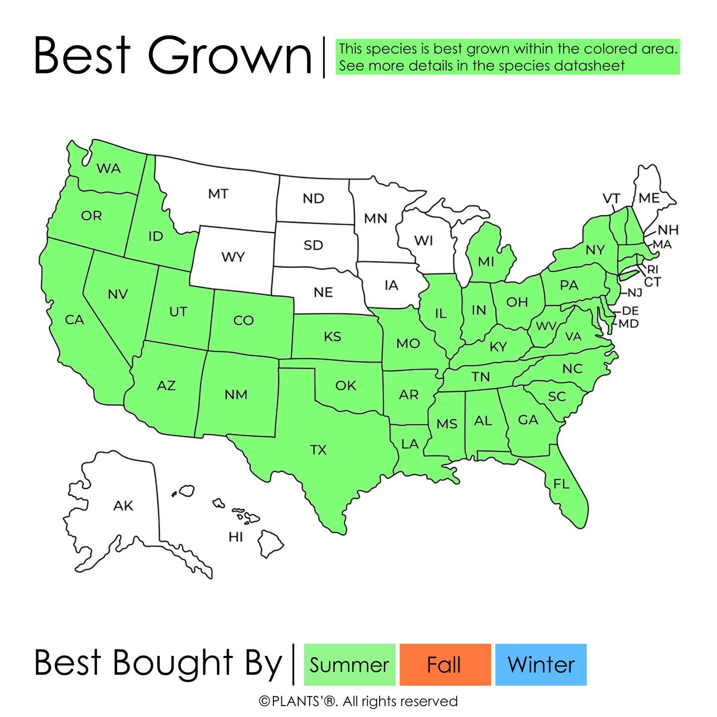 Map of where and what season Arabian Cherry Tree is best grown, Species: Prunus mahaleb, yellow fall color, white flowers, delicious fruits, small tree, shop premium seeds at www.plantsamerica.com