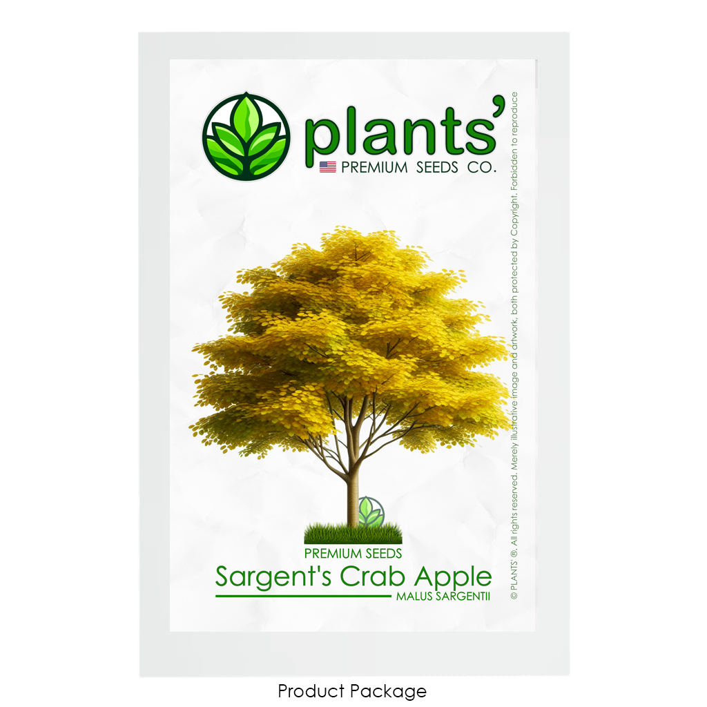 Sargent's Crabapple Tree | Premium Seeds | Malus sargentii 'Fall' | Plants'Ā® - Plants'