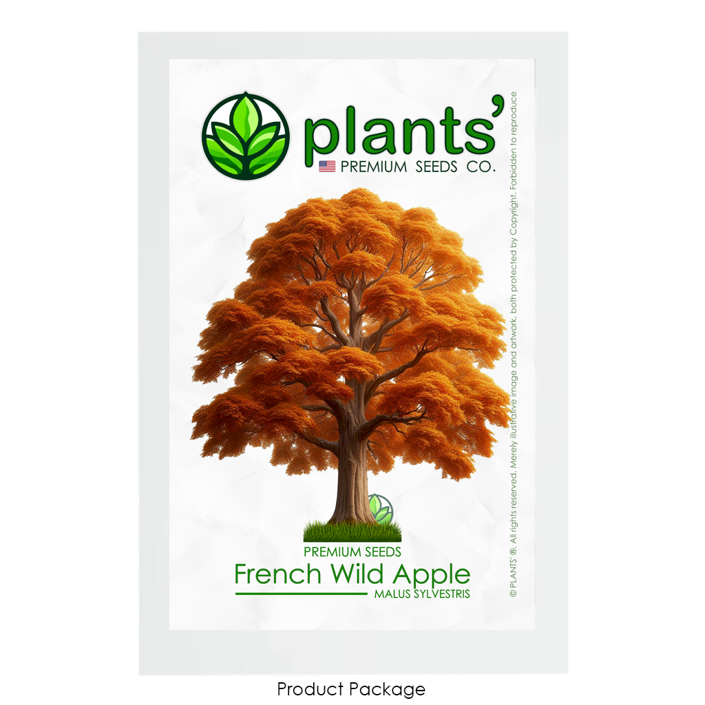 French Wild Apple Tree | Premium Seeds | Malus sylvestris 'Fall' | Plants'® - Plants'