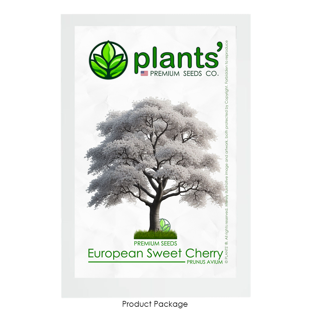 European Sweet Cherry Tree | Premium Seeds | Prunus avium 'Spring' | Plants'® - Plants'