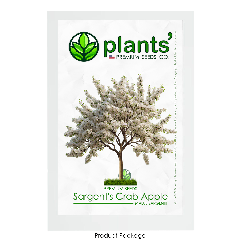 Sargent's Crabapple Tree | Premium Seeds | Malus sargentii 'Spring' | Plants'Ā® - Plants'