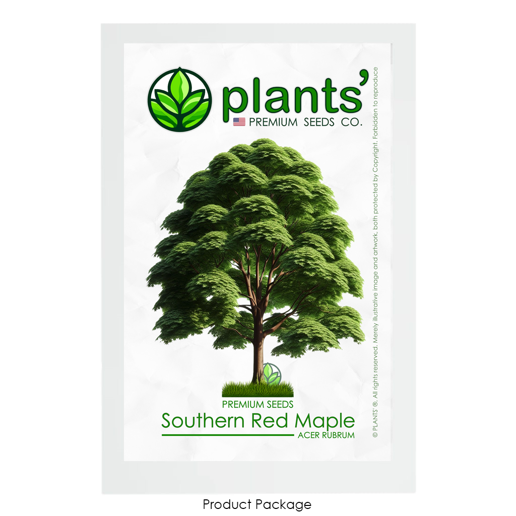 Southern Red Maple Tree | Premium Seeds | Acer rubrum 'Summer' | Plants'Ā® - Plants'