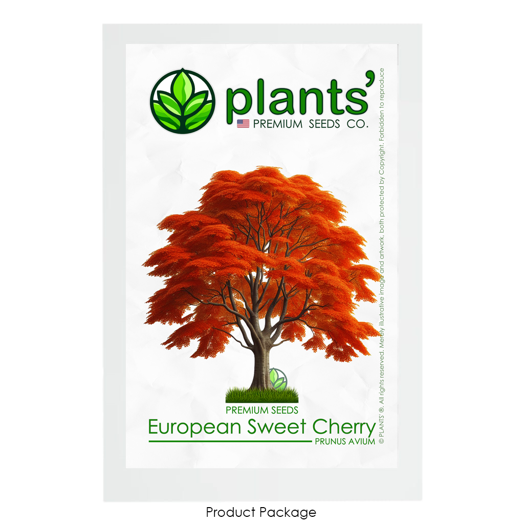 European Sweet Cherry Tree | Premium Seeds | Prunus avium 'Fall' | Plants'® - Plants'