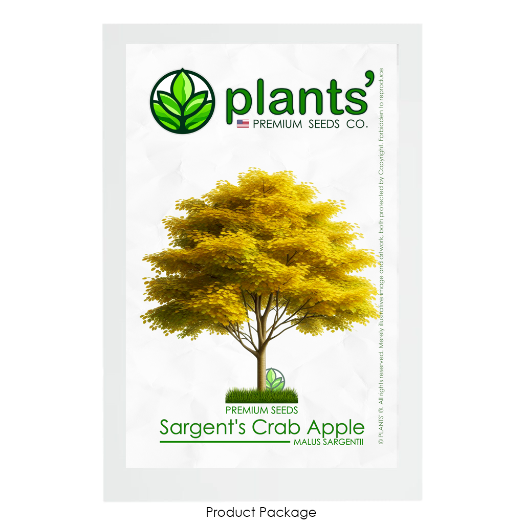 Sargent's Crabapple Tree | Premium Seeds | Malus sargentii 'Fall' | Plants'® - Plants'