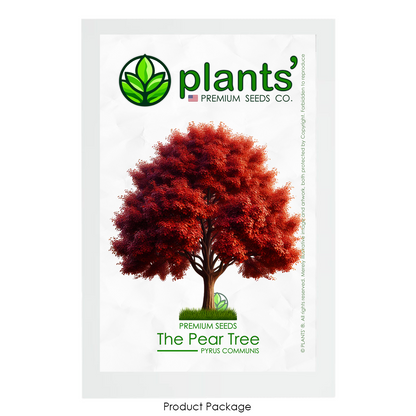 The Pear Tree | Premium Seeds | Pyrus communis 'Fall' | Plants'® - Plants'