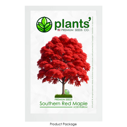 Southern Red Maple Tree | Premium Seeds | Acer rubrum 'Fall' | Plants'® - Plants'
