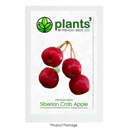 Siberian Crab Apple | Premium Seeds | Malus baccata 'Fruit' | Plants'® - Plants'