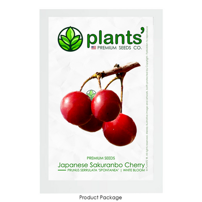 Japanese Sakuranbo Cherry WB | Premium Seeds | Prunus serrulata 'Spontanea' 'Fruit' | Plants'® - Plants'