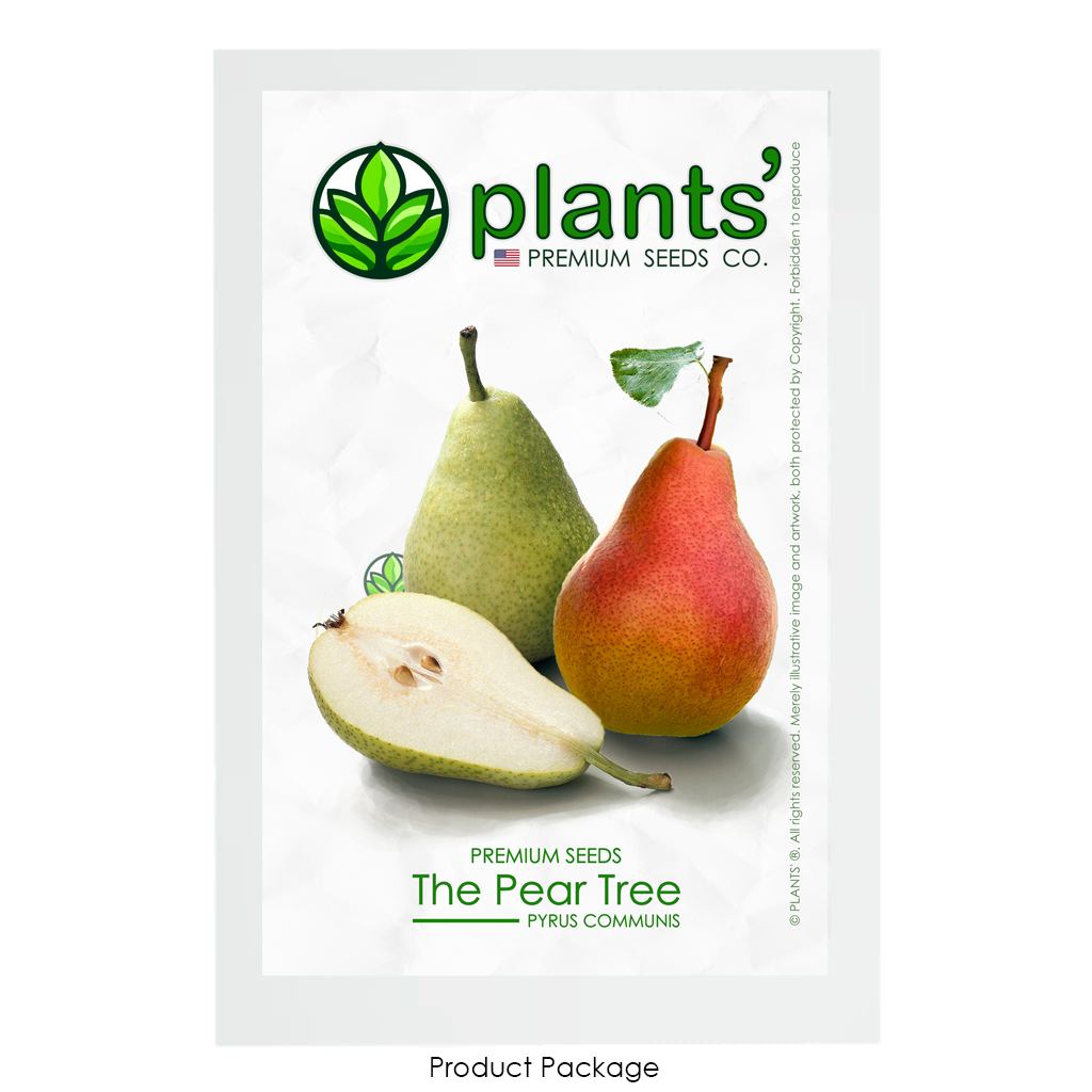 The Pear | Premium Seeds | Pyrus communis 'Fruit' | Plants'® - Plants'