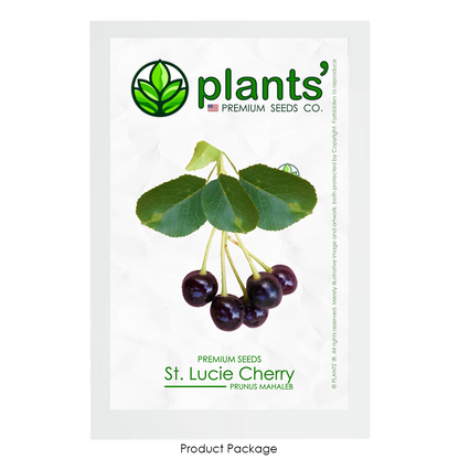 St. Lucie Cherry | Premium Seeds | Prunus mahaleb 'Fruit' | Plants'® - Plants'