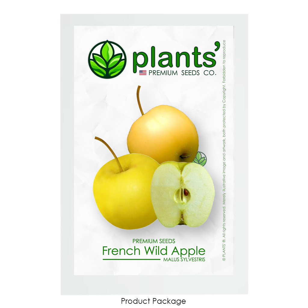 French Wild Apple | Premium Seeds | Malus sylvestris 'Fruit' | Plants'® - Plants'