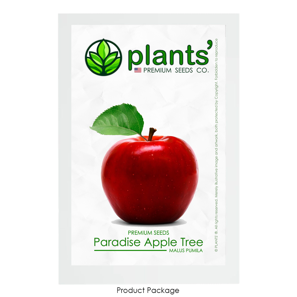 Paradise Apple Tree | Premium Seeds | Malus pumila 'Fruit' | Plants'® - Plants'