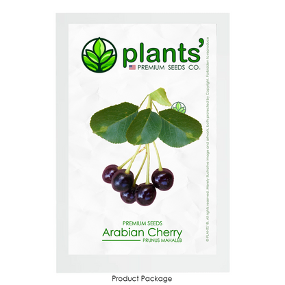 Arabian Cherry | Premium Seeds | Prunus mahaleb 'Fruit' | Plants'® - Plants'