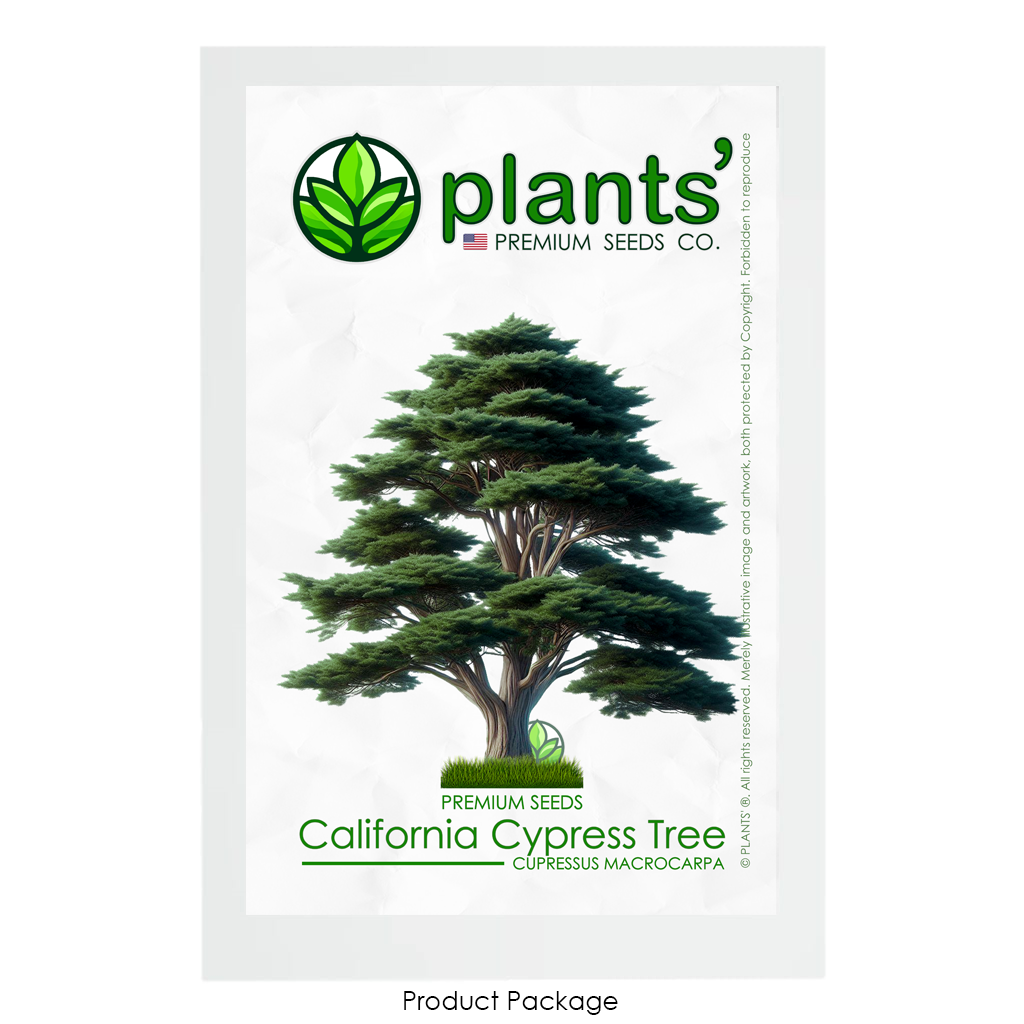 California Cypress Tree | Premium Seeds | Cupressus macrocarpa | Plants'® - Plants'