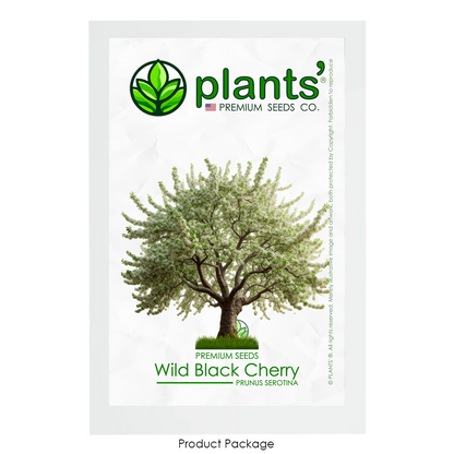 Wild Black Cherry Tree | Premium Seeds | Prunus serotina 'Spring' | Plants'® - Plants'