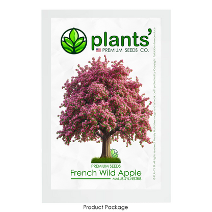 French Wild Apple Tree | Premium Seeds | Malus sylvestris 'Spring' | Plants'® - Plants'