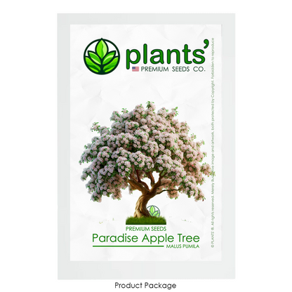 Paradise Apple Tree | Premium Seeds | Malus pumila 'Spring' | Plants'® - Plants'