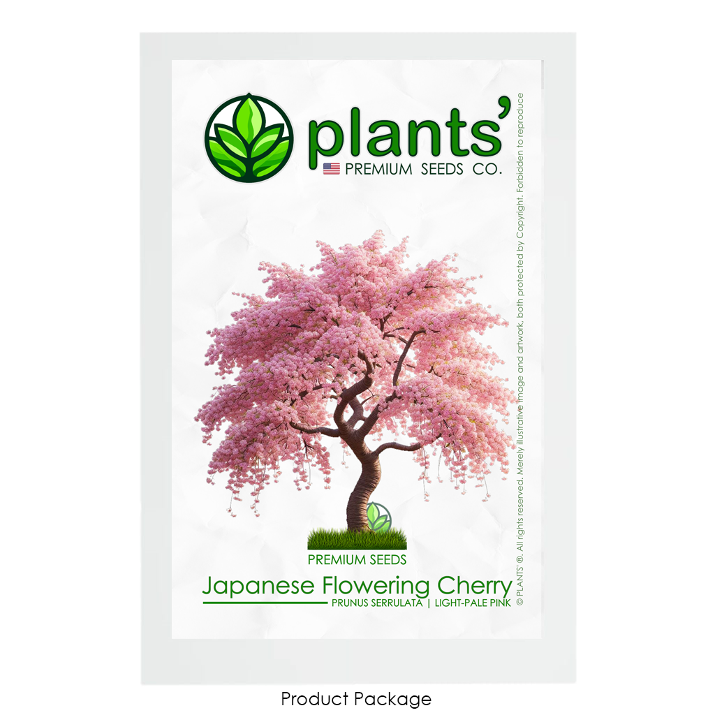 Japanese Flowering Cherry Tree | Premium Seeds | Prunus serrulata 'Spring' | Plants'® - Plants'