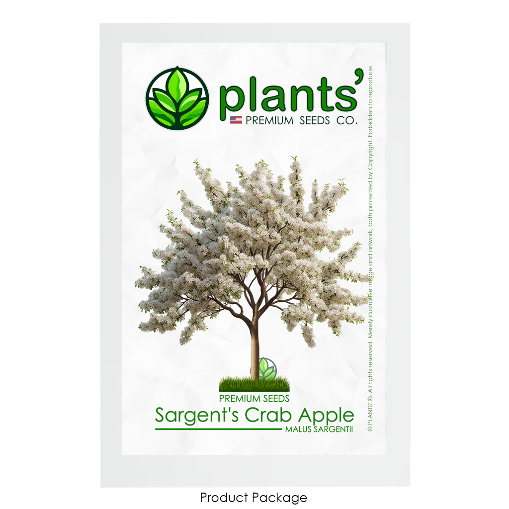 Sargent's Crabapple Tree | Premium Seeds | Malus sargentii 'Spring' | Plants'® - Plants'