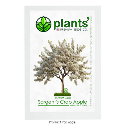 Sargent's Crabapple Tree | Premium Seeds | Malus sargentii 'Spring' | Plants'® - Plants'