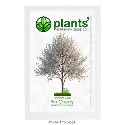 Pin Cherry Tree | Premium Seeds | Prunus pensylvanica 'Spring' | Plants'® - Plants'