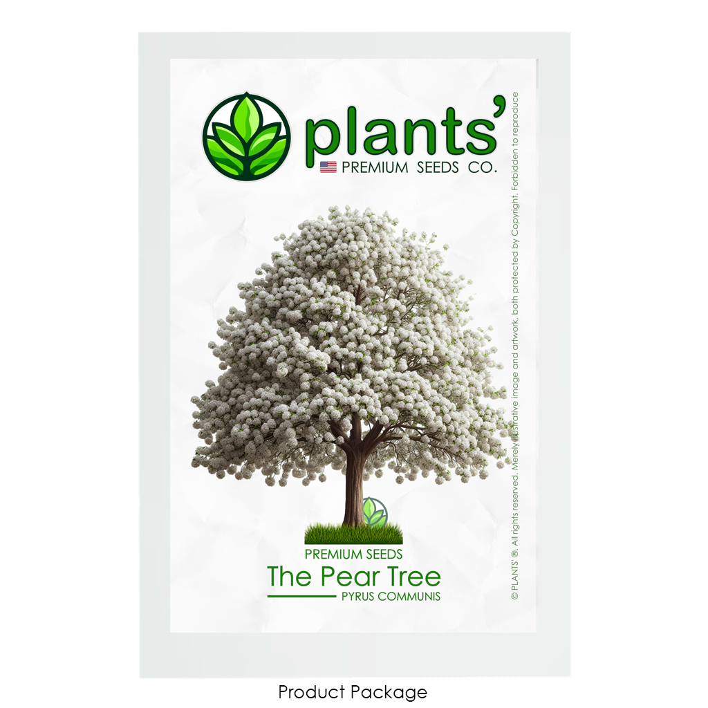 The Pear Tree | Premium Seeds | Pyrus communis 'Spring' | Plants'® - Plants'