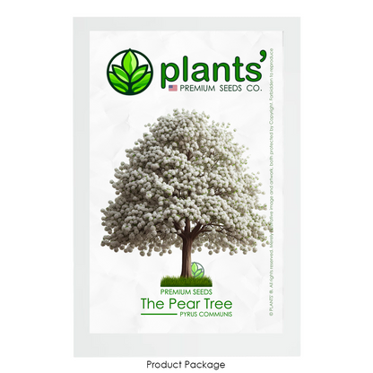 The Pear Tree | Premium Seeds | Pyrus communis 'Spring' | Plants'® - Plants'