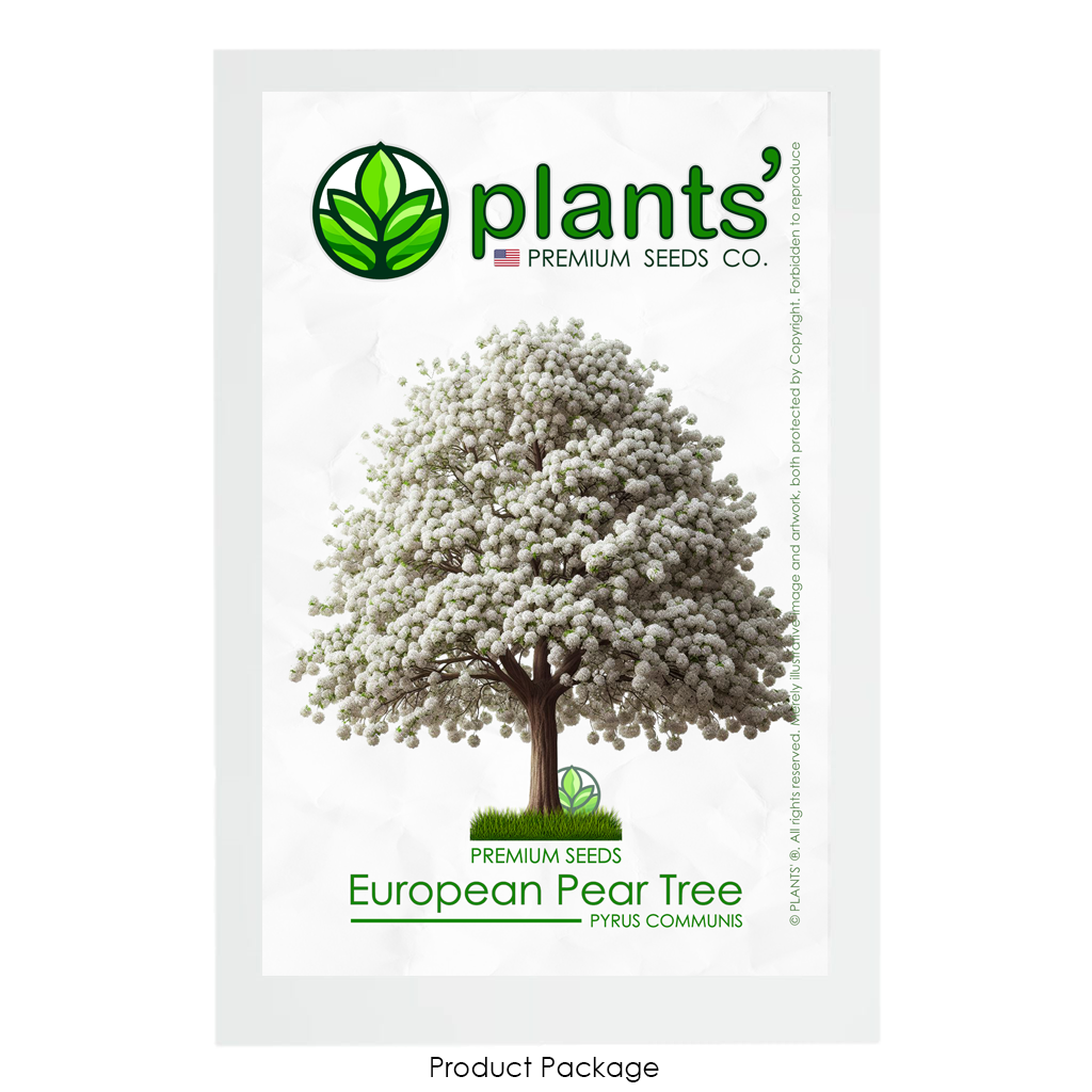 European Pear Tree | Premium Seeds | Pyrus communis 'Spring' | Plants'® - Plants'