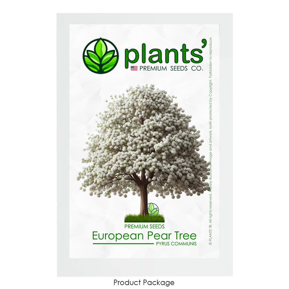 European Pear Tree | Premium Seeds | Pyrus communis 'Spring' | Plants'