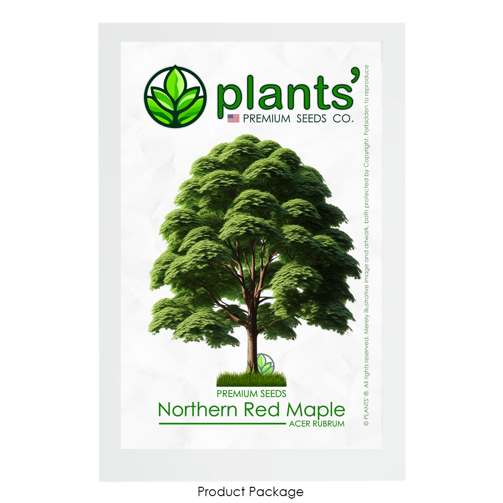 Northern Red Maple Tree | Premium Seeds | Acer rubrum 'Summer' | Plants'® - Plants'