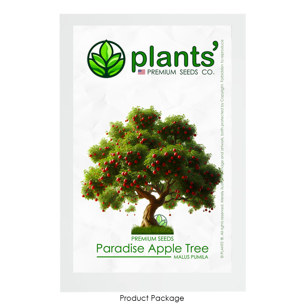 Paradise Apple Tree | Premium Seeds | Malus pumila 'Summer' | Plants'® - Plants'