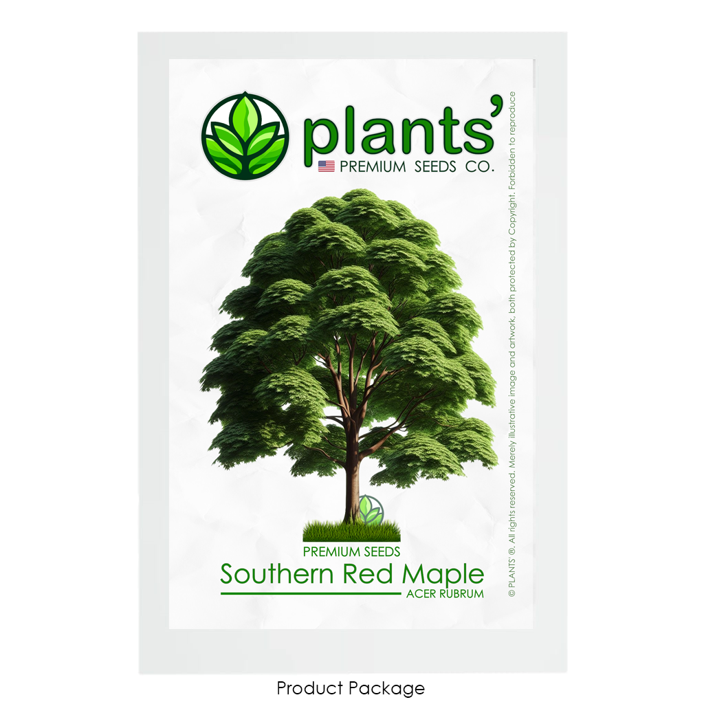 Southern Red Maple Tree | Premium Seeds | Acer rubrum 'Summer' | Plants'® - Plants'