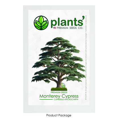 Monterey Cypress Tree | Premium Seeds | Cupressus macrocarpa | Plants'® - Plants'